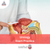 DOH Urology Exam Practice